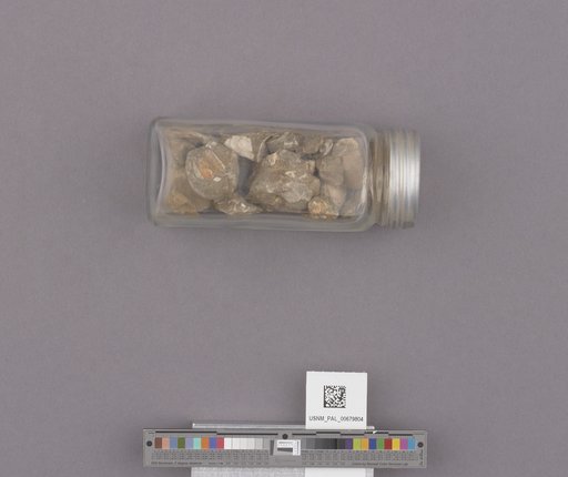 NSF ADBC EPICC TCN