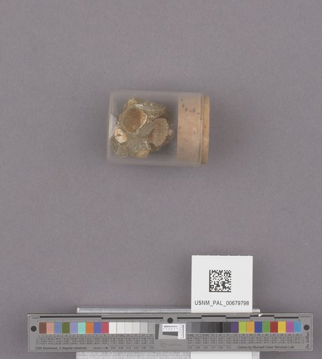 NSF ADBC EPICC TCN