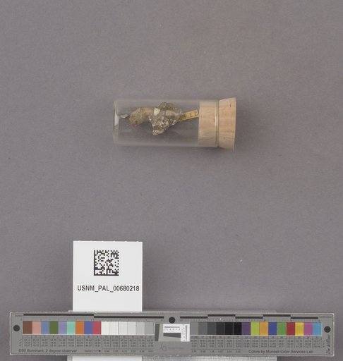 NSF ADBC EPICC TCN