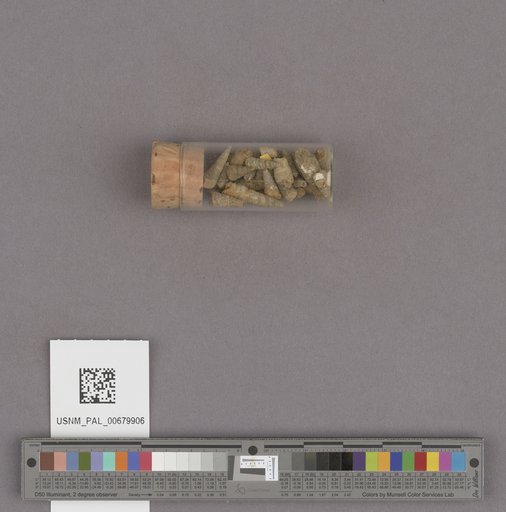 NSF ADBC EPICC TCN