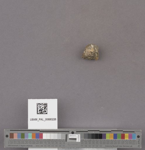 NSF ADBC EPICC TCN
