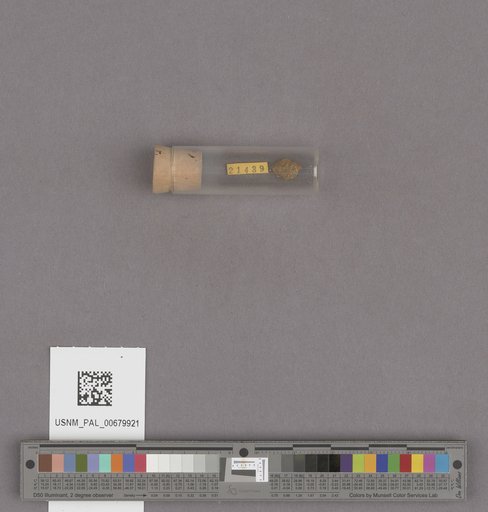 NSF ADBC EPICC TCN