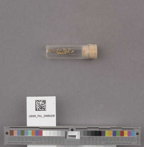 NSF ADBC EPICC TCN