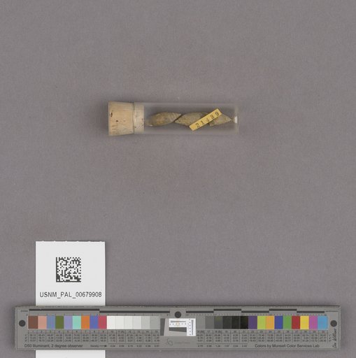 NSF ADBC EPICC TCN