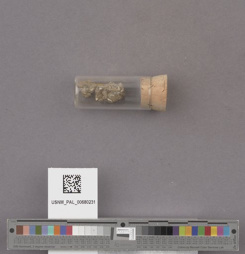 NSF ADBC EPICC TCN