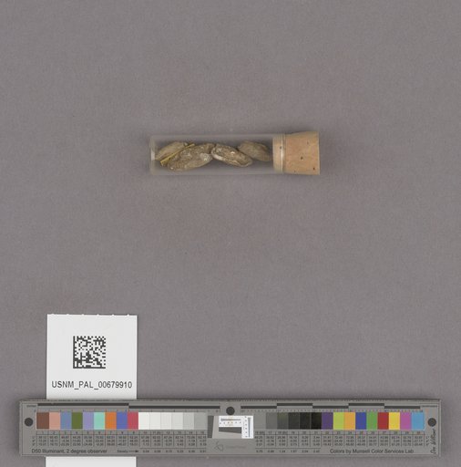 NSF ADBC EPICC TCN