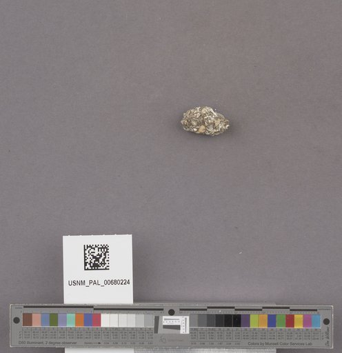 NSF ADBC EPICC TCN