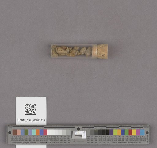 NSF ADBC EPICC TCN