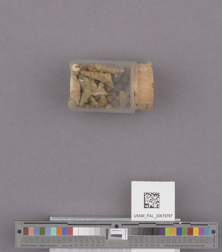 NSF ADBC EPICC TCN