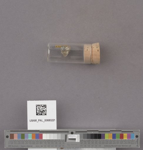 NSF ADBC EPICC TCN