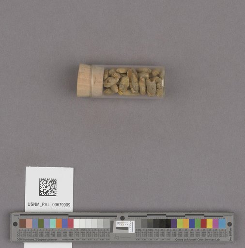 NSF ADBC EPICC TCN