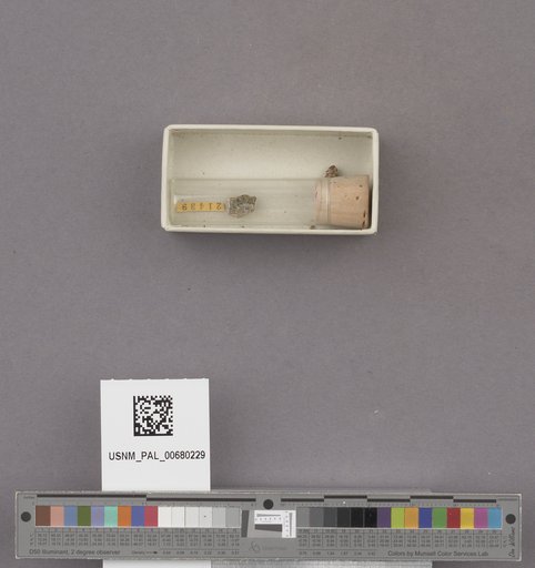 NSF ADBC EPICC TCN