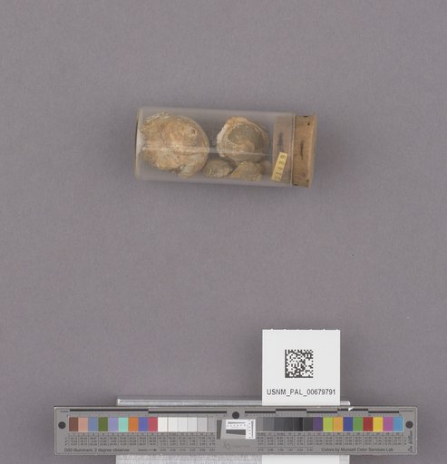 NSF ADBC EPICC TCN