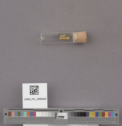 NSF ADBC EPICC TCN