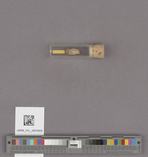 NSF ADBC EPICC TCN