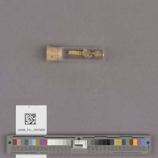 NSF ADBC EPICC TCN