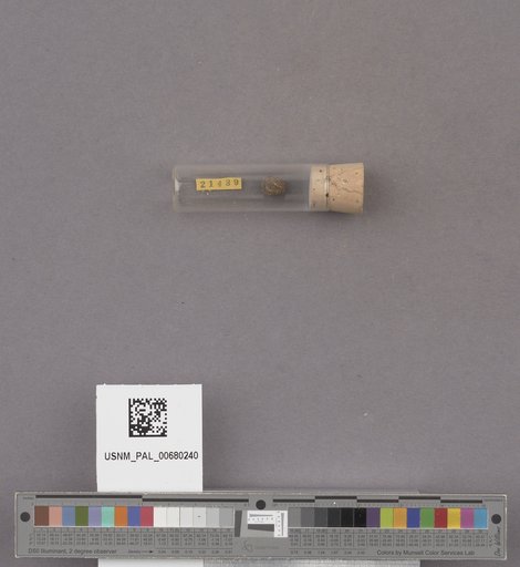 NSF ADBC EPICC TCN