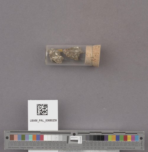 NSF ADBC EPICC TCN