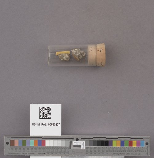 NSF ADBC EPICC TCN