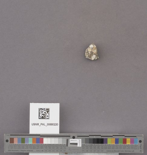 NSF ADBC EPICC TCN