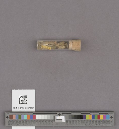 NSF ADBC EPICC TCN
