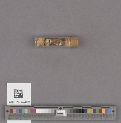 NSF ADBC EPICC TCN