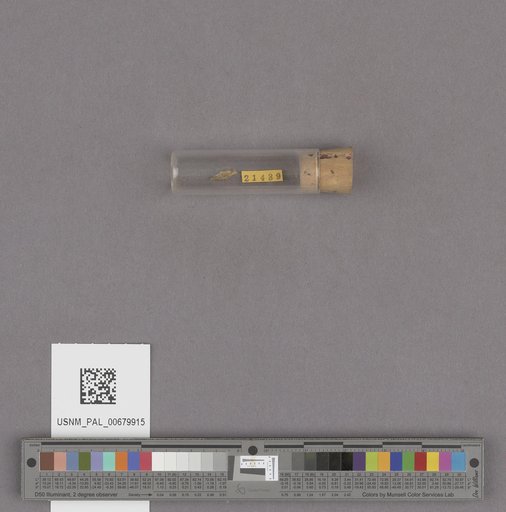 NSF ADBC EPICC TCN