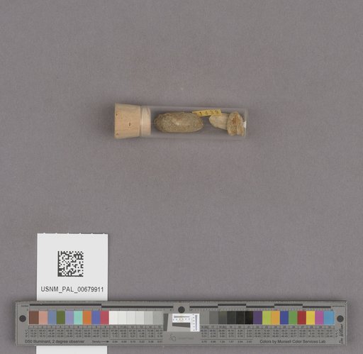 NSF ADBC EPICC TCN