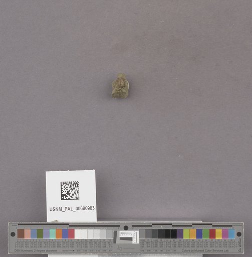 NSF ADBC EPICC TCN