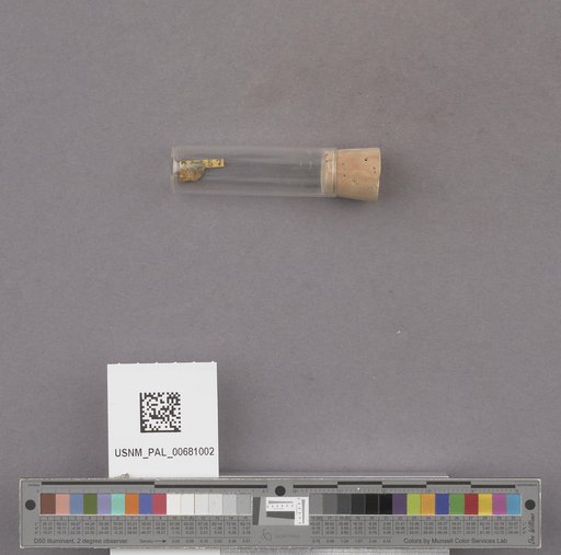 NSF ADBC EPICC TCN
