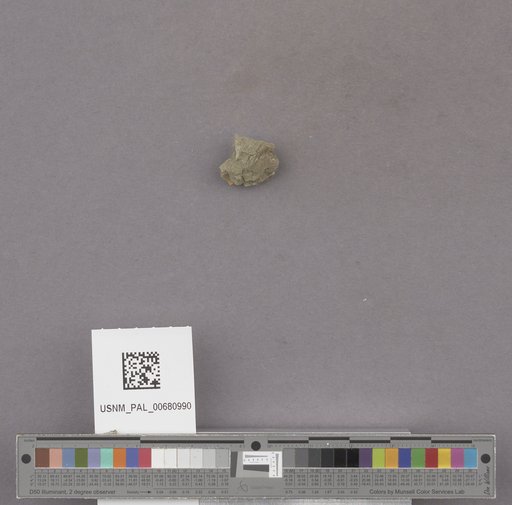 NSF ADBC EPICC TCN