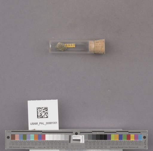 NSF ADBC EPICC TCN