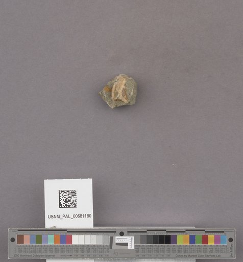NSF ADBC EPICC TCN