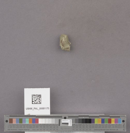 NSF ADBC EPICC TCN