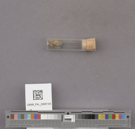NSF ADBC EPICC TCN