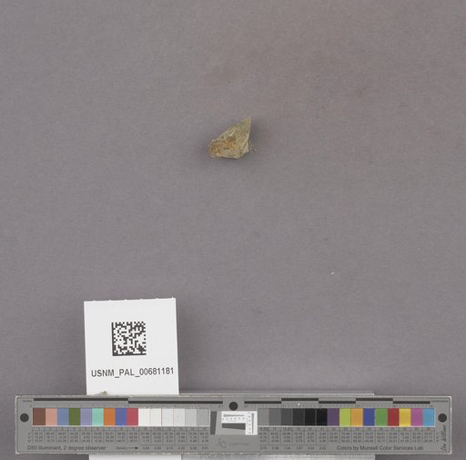 NSF ADBC EPICC TCN