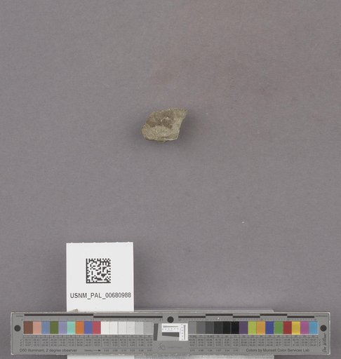 NSF ADBC EPICC TCN
