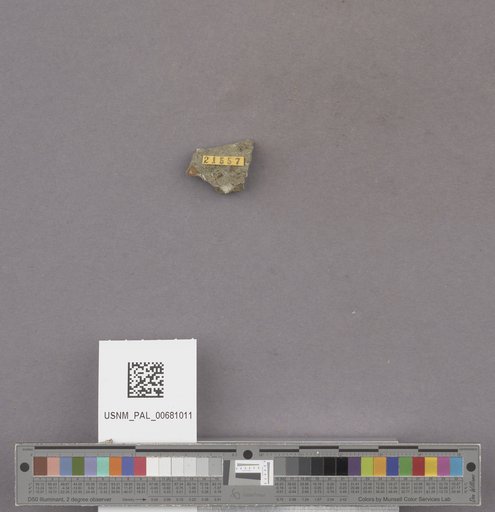 NSF ADBC EPICC TCN