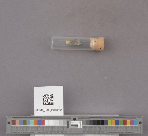 NSF ADBC EPICC TCN