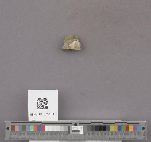 NSF ADBC EPICC TCN