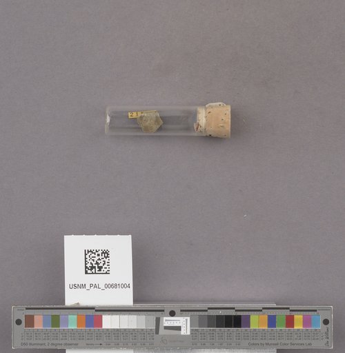 NSF ADBC EPICC TCN