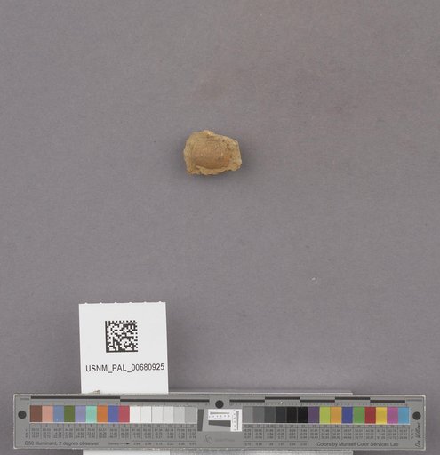 NSF ADBC EPICC TCN