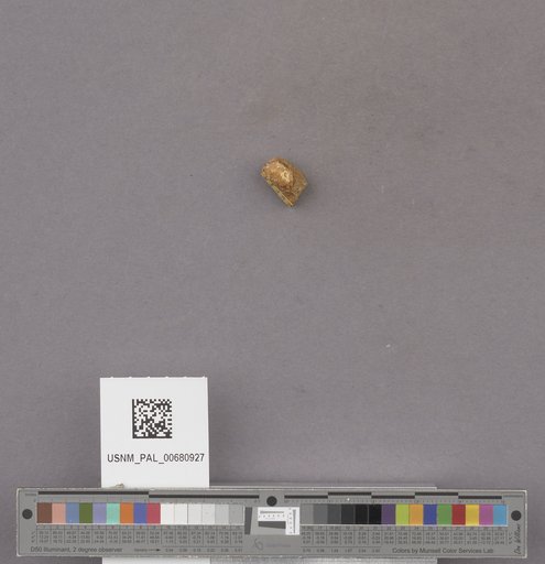NSF ADBC EPICC TCN