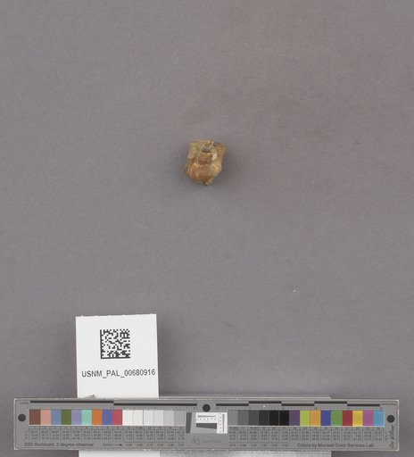 NSF ADBC EPICC TCN