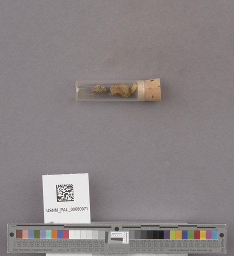 NSF ADBC EPICC TCN