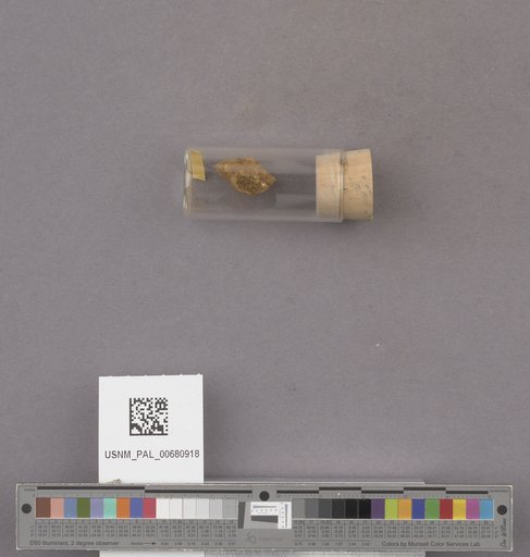 NSF ADBC EPICC TCN