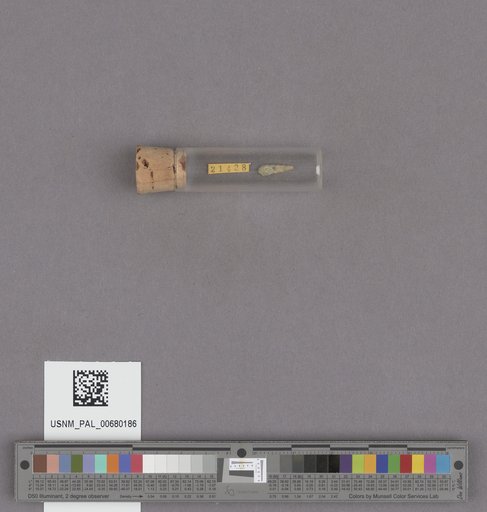 NSF ADBC EPICC TCN