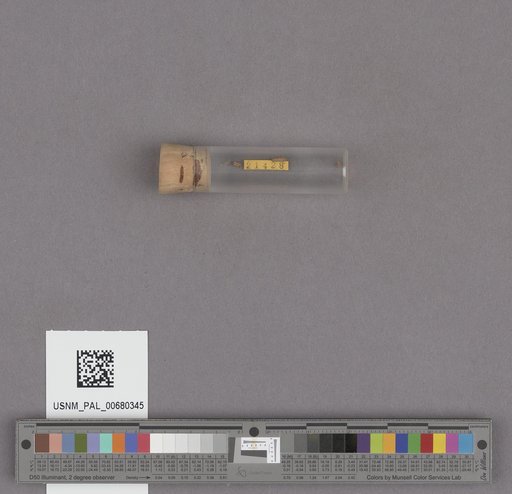 NSF ADBC EPICC TCN