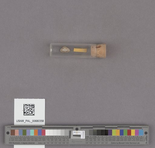 NSF ADBC EPICC TCN
