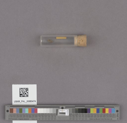 NSF ADBC EPICC TCN